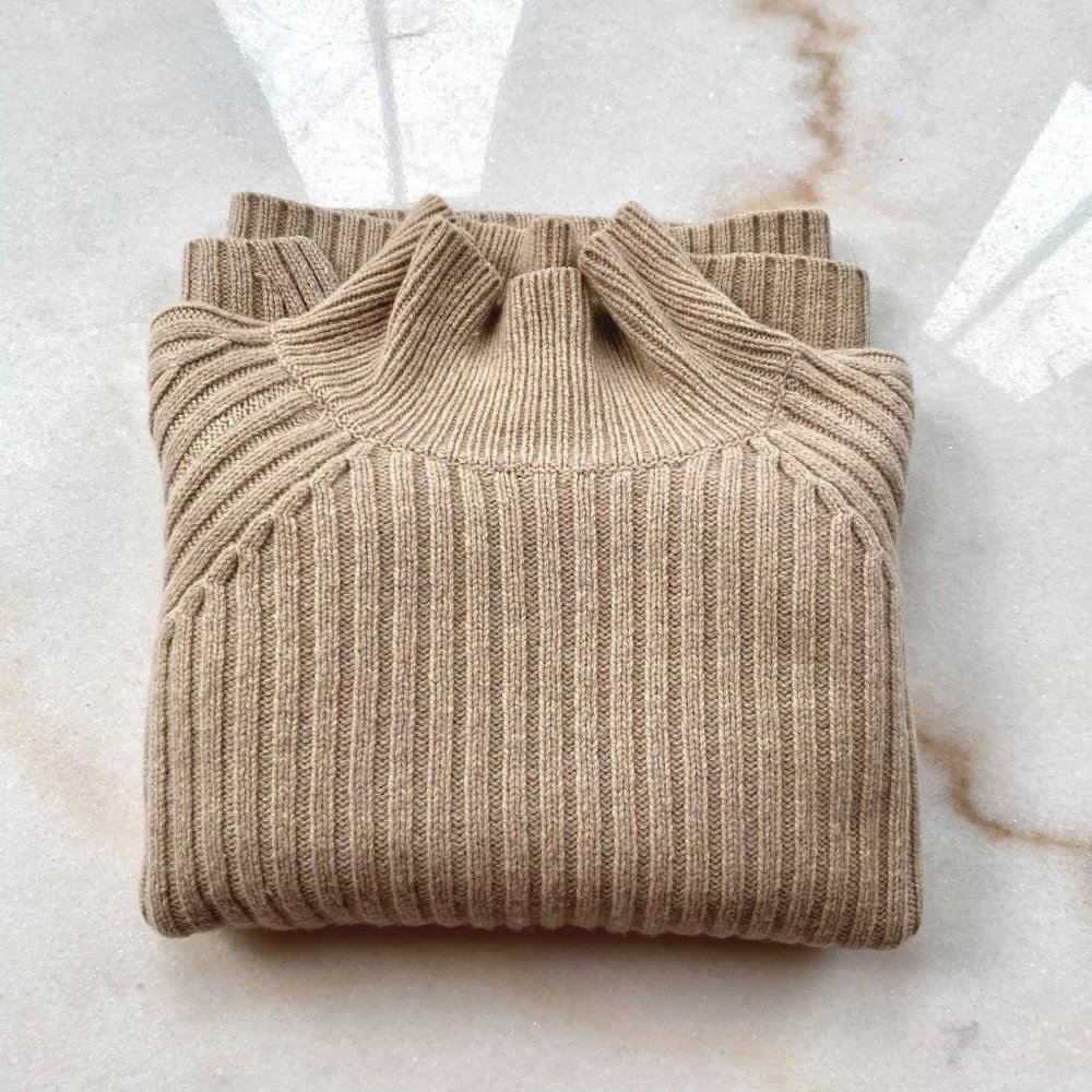 Everlane Ribbed Wool-Cashmere Turtleneck